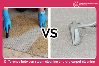 Difference-between-steam-cleaning-and-dry-carpet-cleaning