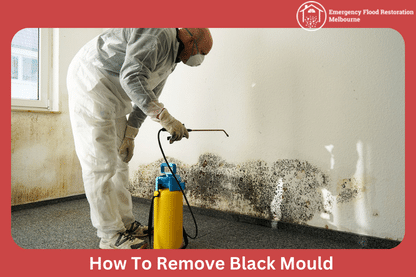 How-To-Remove-Black-Mould