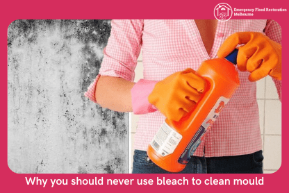 Why-you-should-never-use-bleach-to-clean-mould